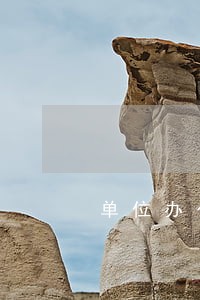 单位办公务卡 信用卡有逾期 单位办公务卡 信用卡有逾期